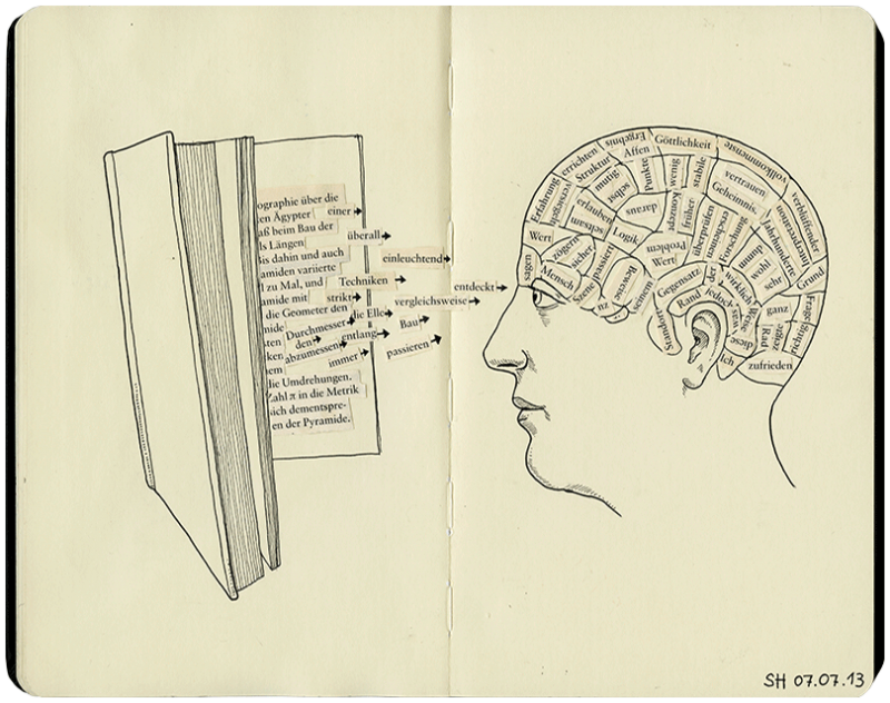 Lesen und das Gehirn