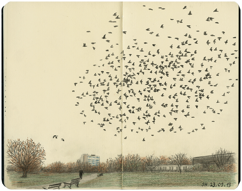 Vogelschwarm am Herbsthimmel