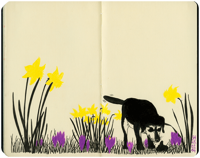 Hund in Frühlingswiese